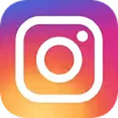 ins